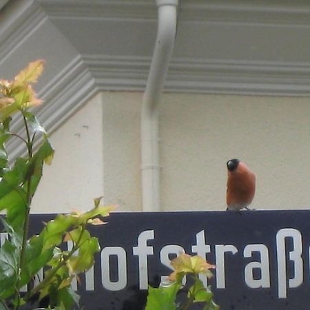 Posthotel Hans Sacks Montabaur Kültér fotó
